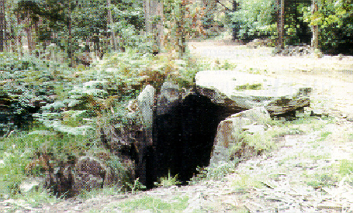 El Dolmen de Chan de Armada o Mámoa del Rei El Dolmen de Chan de Armada o Mámoa del Rei está situado en la sierra que separa la Ría de Vigo de la Ría de Arosa. Sito en un paraje muy bonito, conserva túmilo y cámara.