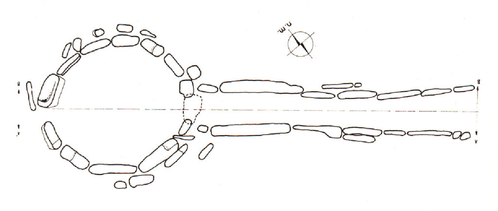 Planta del Dolmen de Cubillejo de Lara La planta del Dolmen de Cubillejo de Lara o Dolmen de Mazariegos permite observar un típico dolmen de cámara circular con corredor largo, cubierta inexistente y túmulo muy erosionado por su ubicación en un terreno bajo muy fértil.