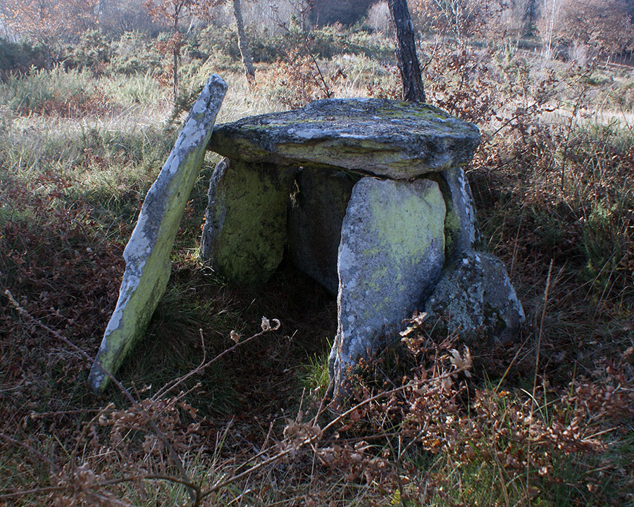 Anta de Moruxosa. Anta de Moruxosa en Cotá, cerca de Lugo.