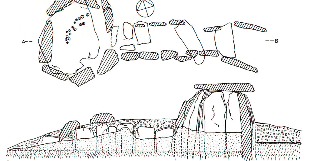 Anta 1 Heredade do Paço das Vinhas. Anta 1 Heredade do Paço das Vinhas.