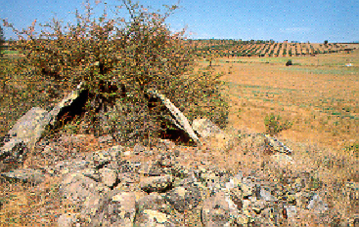 Anta do Poco da Gateira en Corval