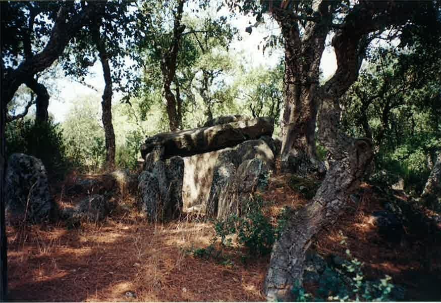 Dolmen Mas Bouserenys en Romanyà de la Selva. Dolmen Mas Bouserenys.