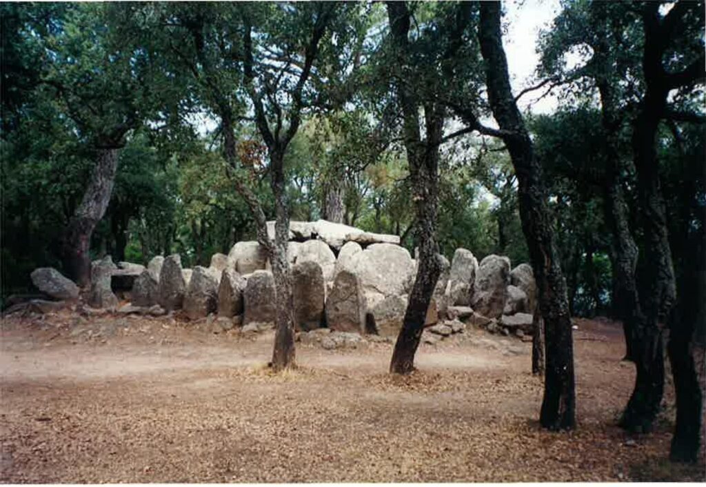 La imagen tiene un atributo ALT vacío; su nombre de archivo es Cat-8-1024x706.jpg