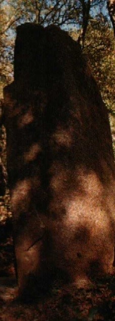 Menhir d´en Llach. Menhir d´en Llach