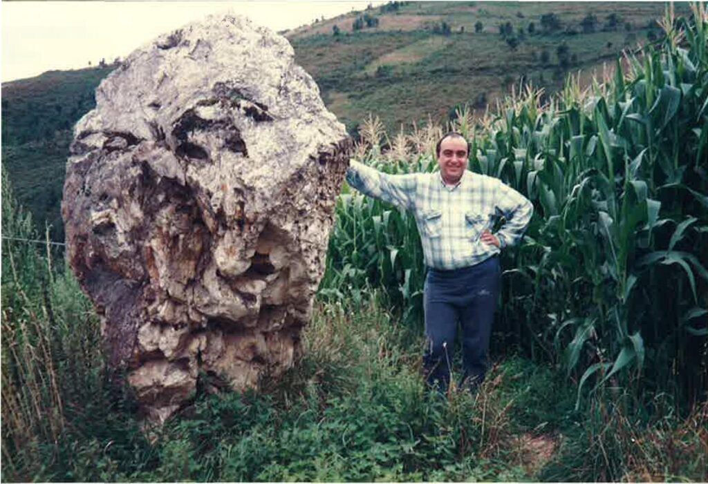 Menhir de Ovienes. Menhir de Ovienes en Asturias.