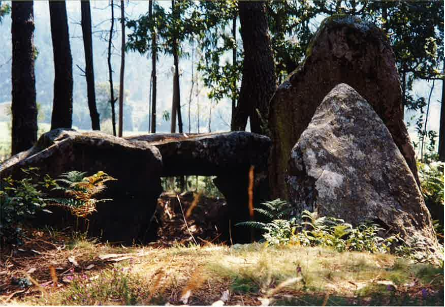 El Dolmen de Pedra Cuberta se conserva en un paraje arbóreo de la Costa da Morte muy digno de Wenceslao Fernández Flórez.