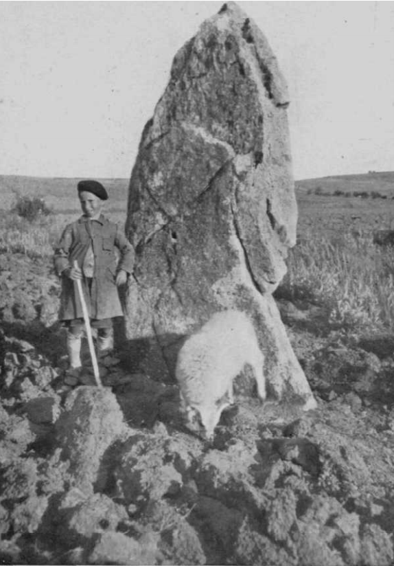 Menhir de Atapuerca o de Fin de Rey. El Menhir de Atapuerca o de Menhir de Fin de Rey es una losa puntiaguda enhiesta que requiere cruzar un sembrado. Su ubicación, cerca de Atapuerca, y un campo tumular, hacen de este menhir algo espectacular.