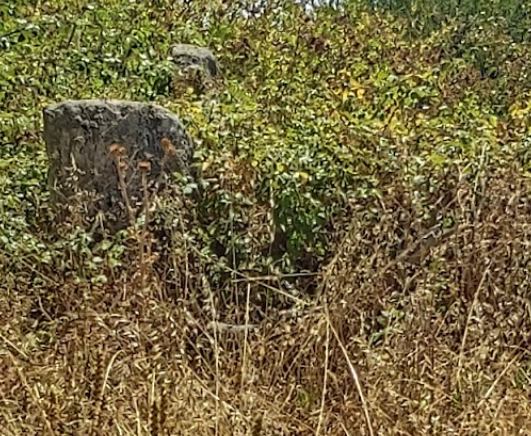 Dolmen de Sahalicejos en Villar de Peralonso El Dolmen de Sahalicejos en Villar de Peralonso no deja de ser un anta de cámara poligonal y corredor largo en muy mal estado. Sin embargo esta Ruta Megalítica nos demuestra la progresión de los modelos alentejanos y beiranos hacia al este, y su continuidad hasta Las Loras y La Rioja.