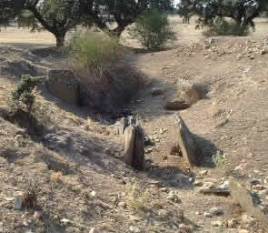 El Dolmen de la Torrecilla en Valnuza, Barbadillo. Dolmen de la Torrecilla está situado en la pedanía de Carrascalino de la Valmuza, en Barbadillo, a 15 km al SO de Salamanca Capital. Entre encinas encontramos un gran túmuloque esconde unos pocos ortostatos de la cámara y el corredor muy mal conservados.