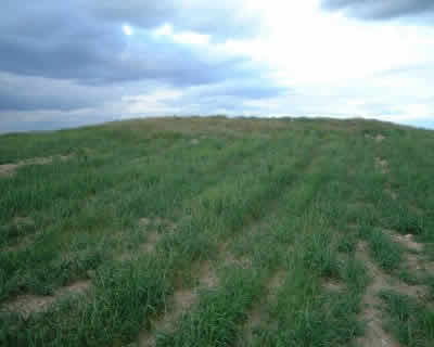 Dolmen de Piedras Hitas en Terradillos Restos de túmulo de Piedras Hitas en Terradillos. Sólo tenemos el gran túmulo y las referencias del Padre Morán y los estudios de los ochenta de Santonja y Delibes. Son dólmenes muy maltratados al estar ubicados en tierras de labranza.