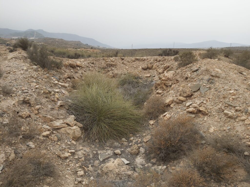 Tholos de Los Millares sin reconstruir.