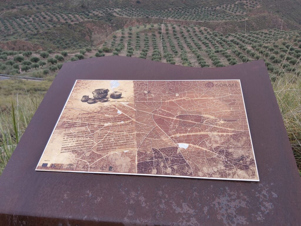 Hoya del Conquín 134. Gorafe (Granada).