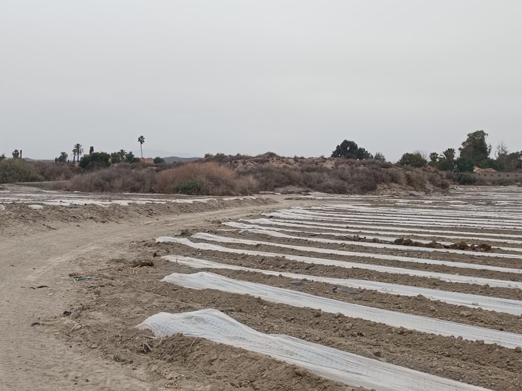 Vista actual del poblado de Almizaraque