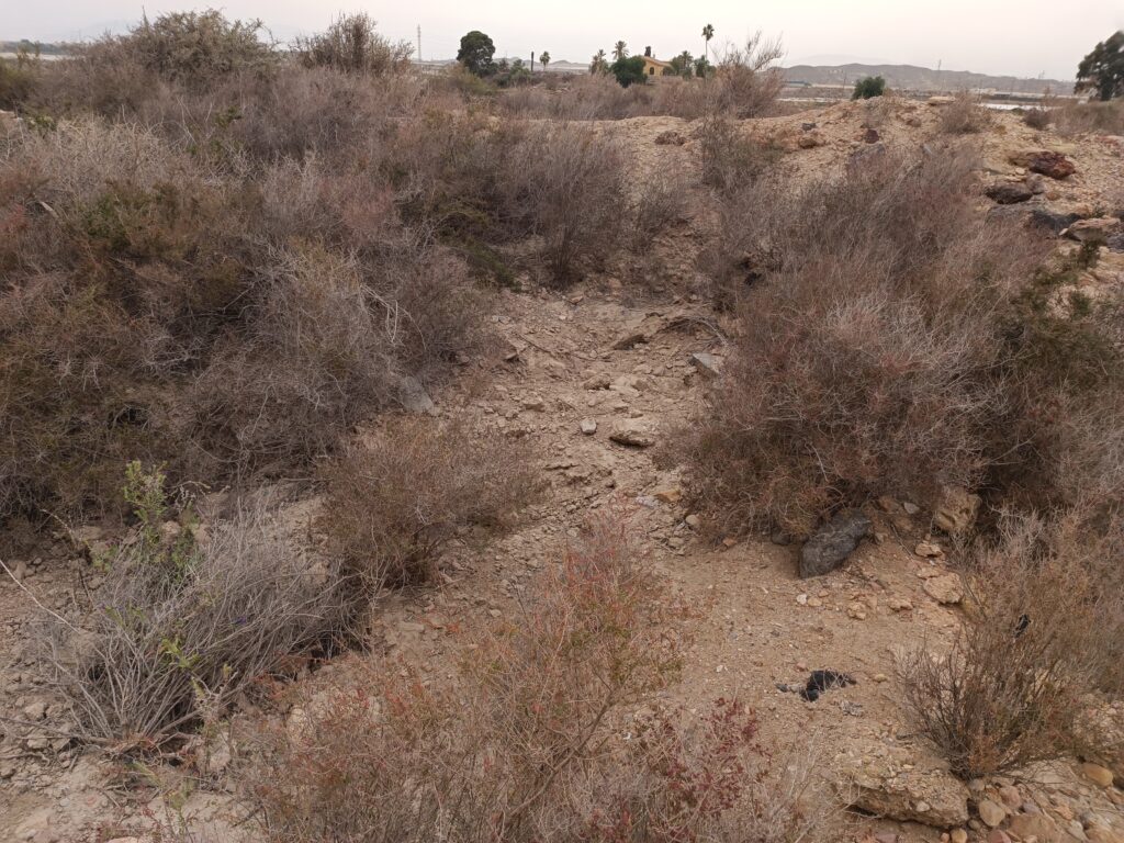 Tholos sepultado de Almizaraque, Herrerías, Almería.