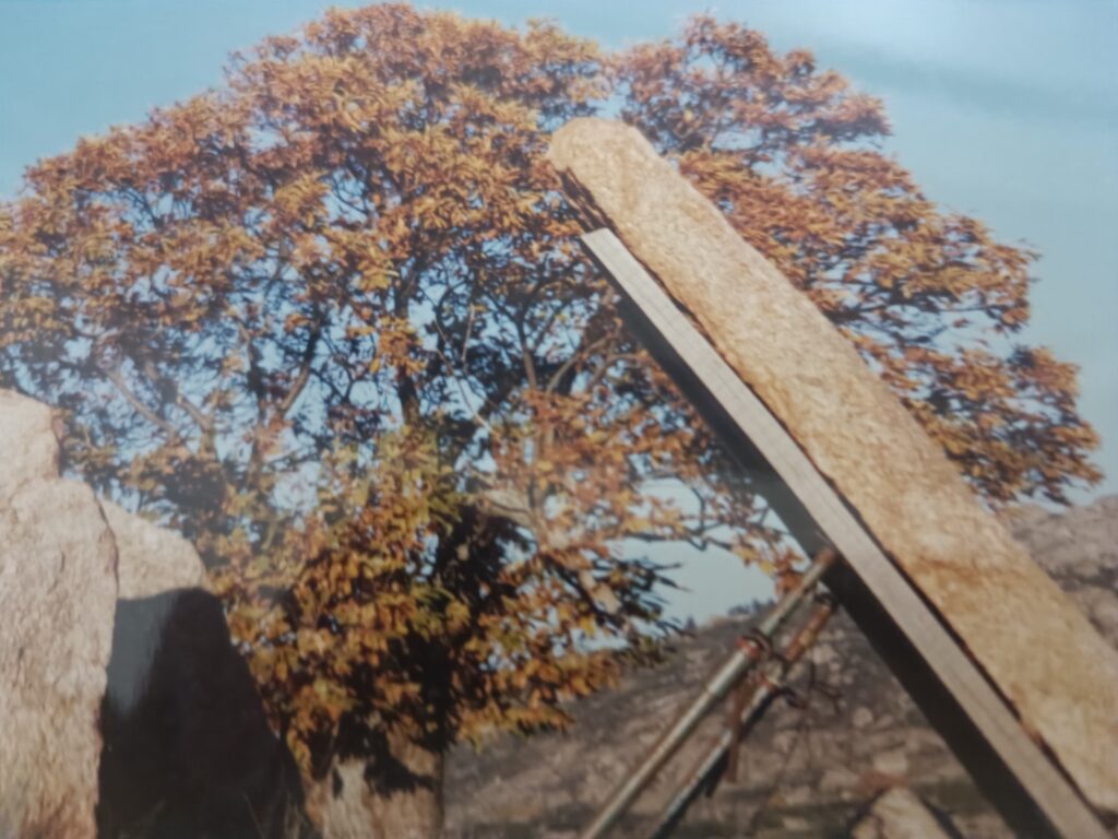 Cajirón con andamios 1998