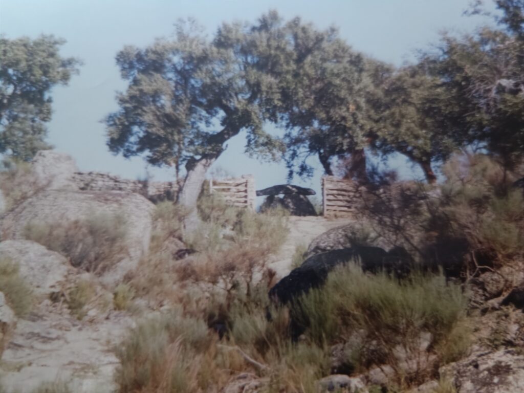 Camino por la dehesa buscando el dolmen de Zafra en Valencia de Alcántara (Cáceres)