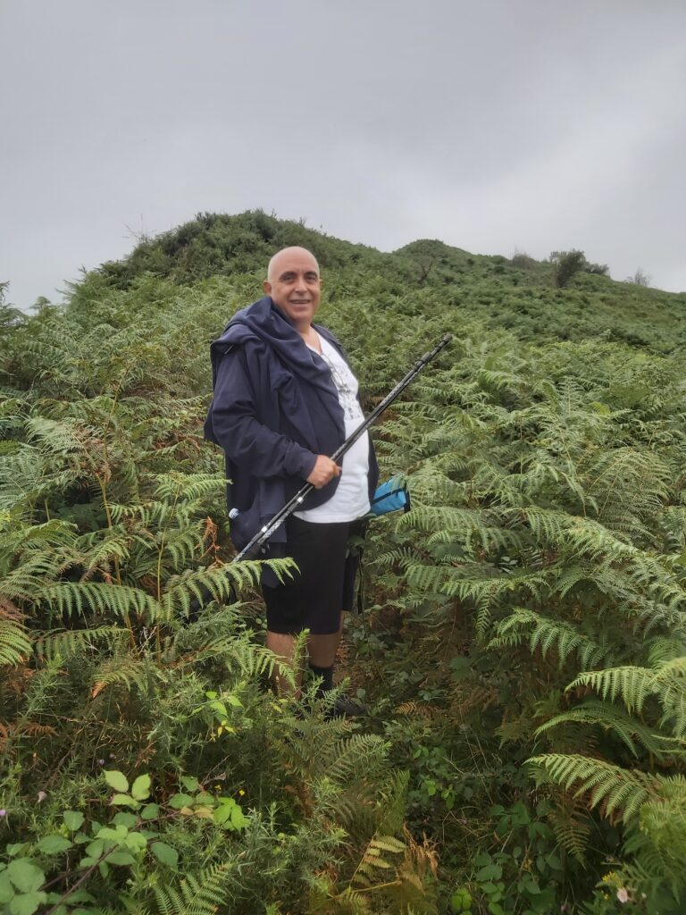 Vegetación entre dólmenes