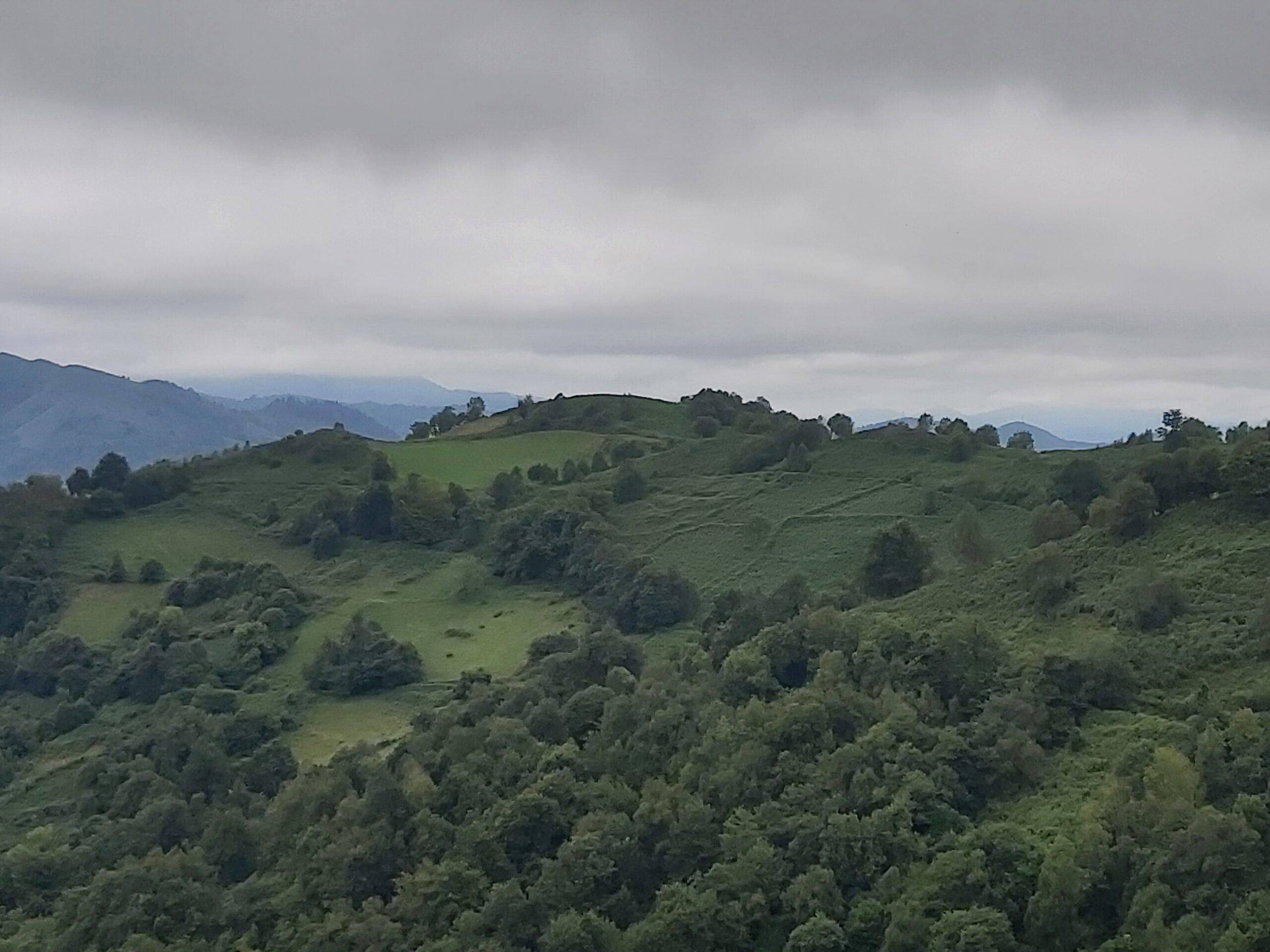 Éste es el mejor medio de conservación de este menhir. Bosque entre dólmenes