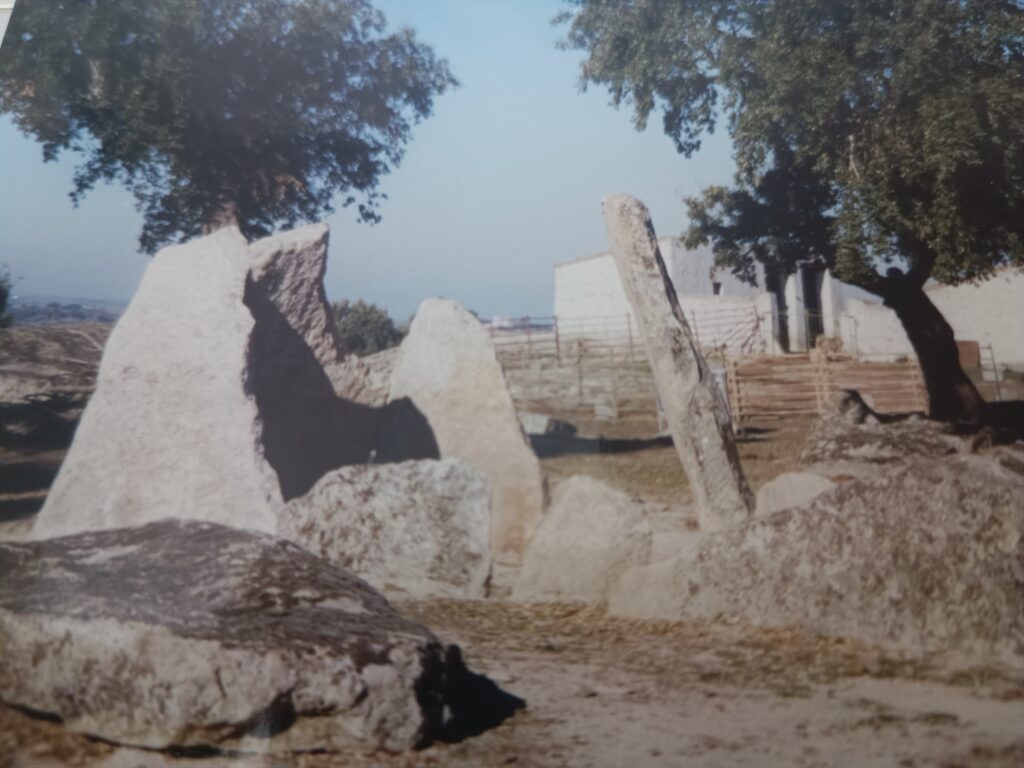 Zafra II, al lado de la casa. Valencia de Alcántara.