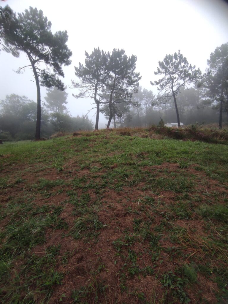Monte Areo XVI. Carreño, Asturias.