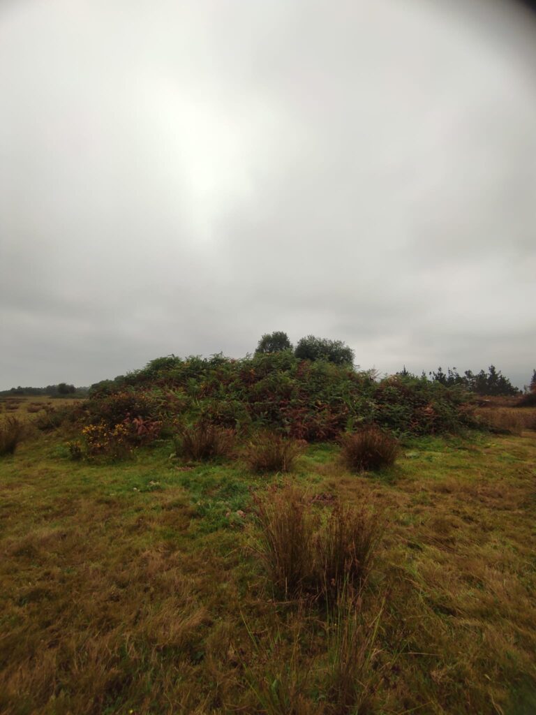 Túmulo en la Sierra Llana de Vidiago (Asturias)