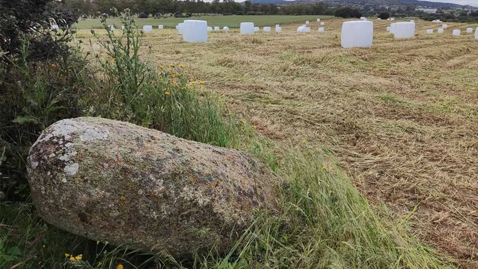 Vista del menhir de Gamonal derribado en septiembre 2025