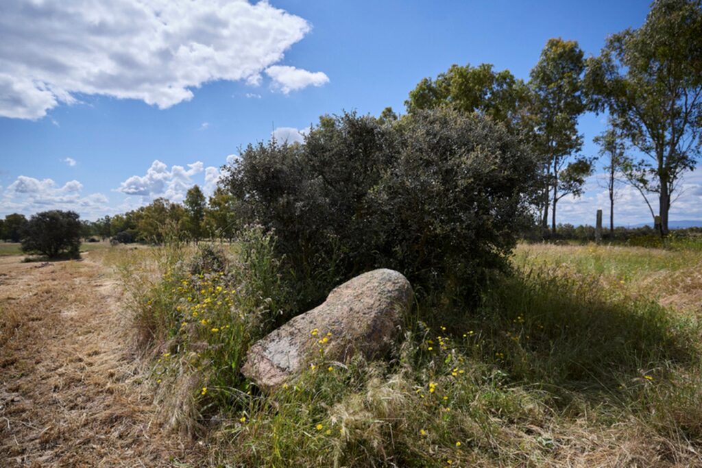 Menhir de Gamonal en el suelo tras intentar levantarlo. Noviembre 2025